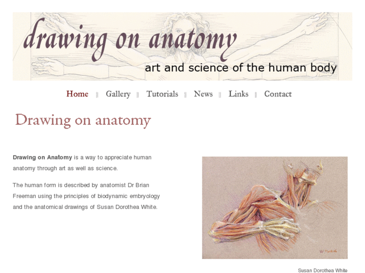 www.drawingonanatomy.com.au