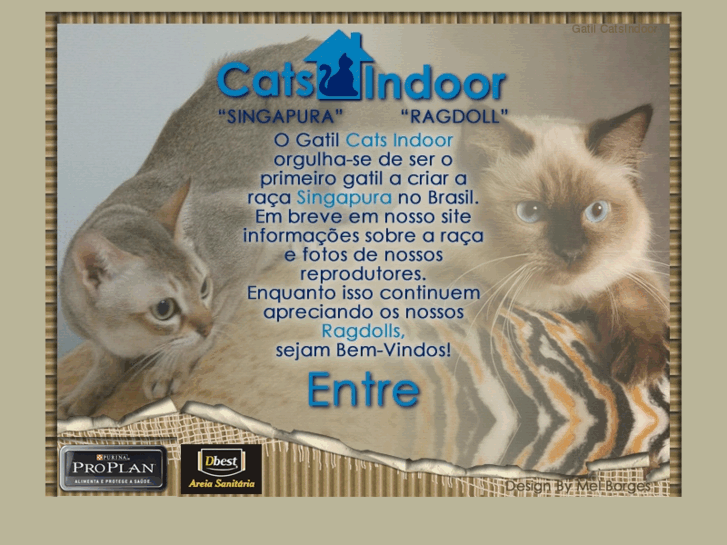 www.gatilcatsindoor.com