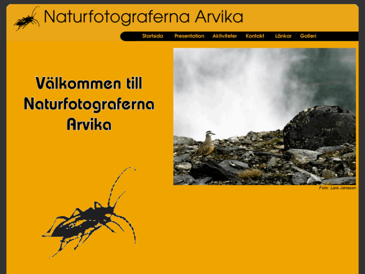 www.naturfotografernaarvika.se