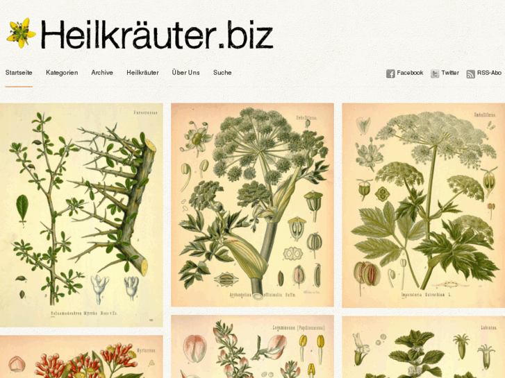 www.xn--heilkruter-v5a.biz