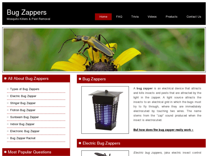 www.bugzapper.org