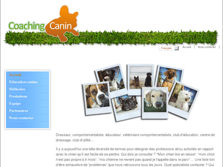 www.coaching-canin.com