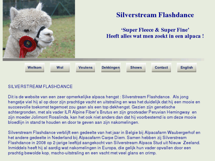 www.silverstream-flashdance.com