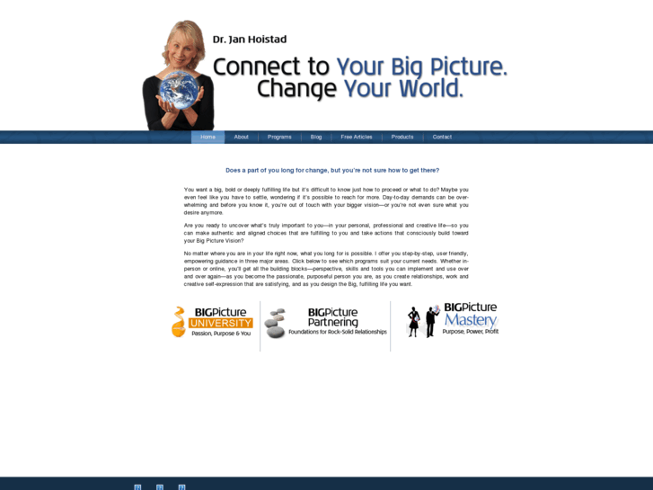 www.bigpicturepartnering.com