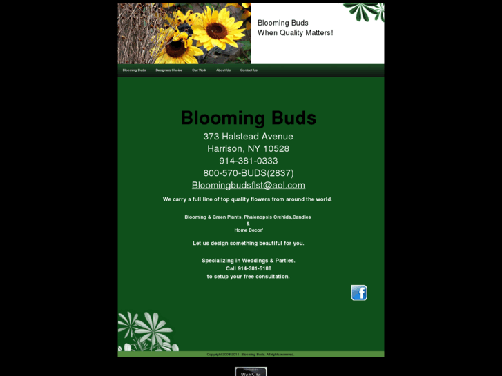 www.bloomingbudsflowers.com