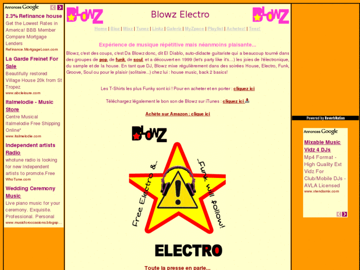 www.blowzelectro.com