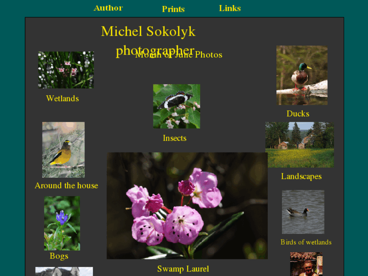 www.michelsokolyk.com