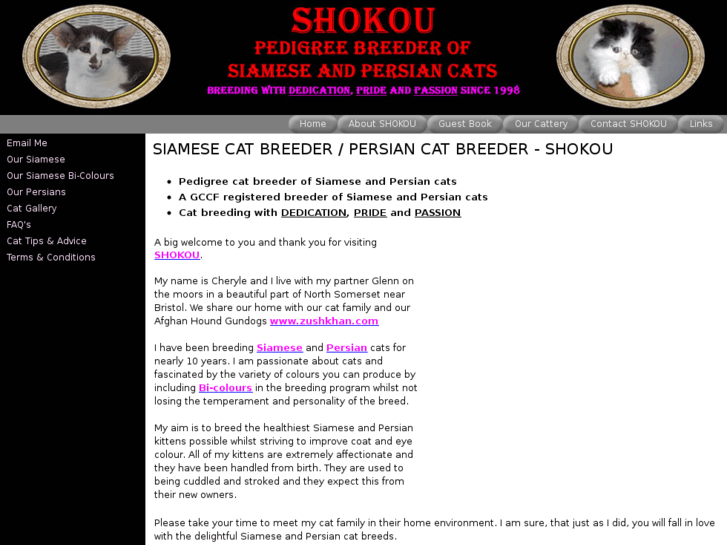 www.shokoucats.co.uk