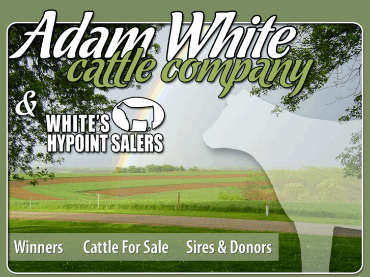 www.adamwhitecattle.com