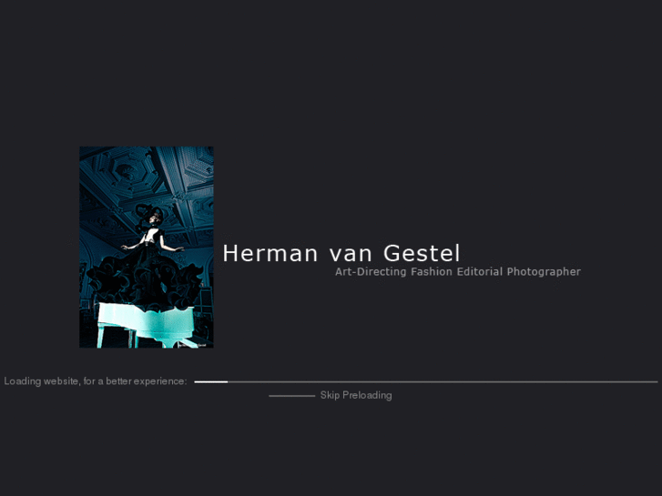 www.hermanvangestel.com