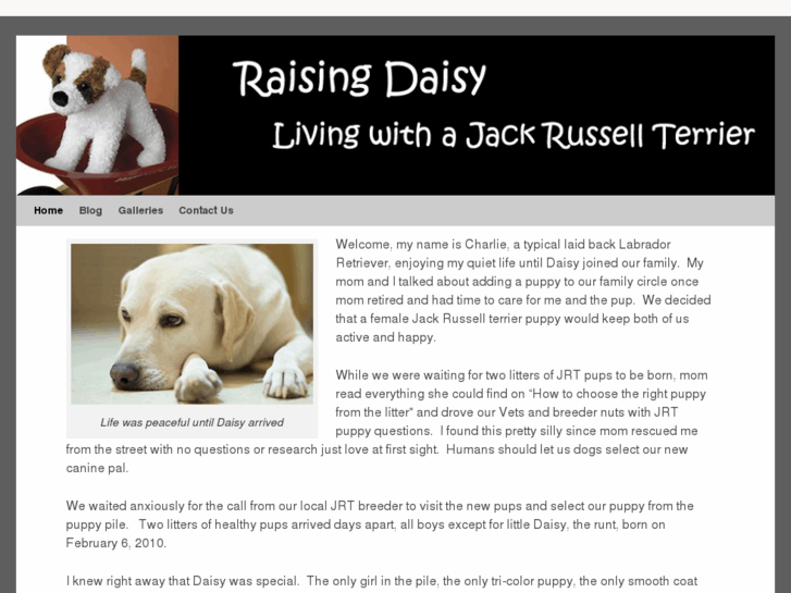 www.raising-daisy.com