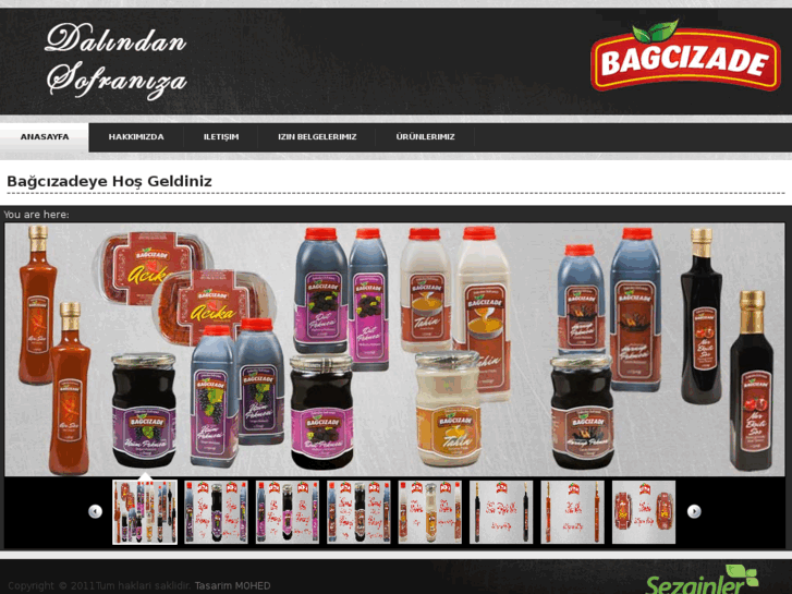 www.bagcizade.com