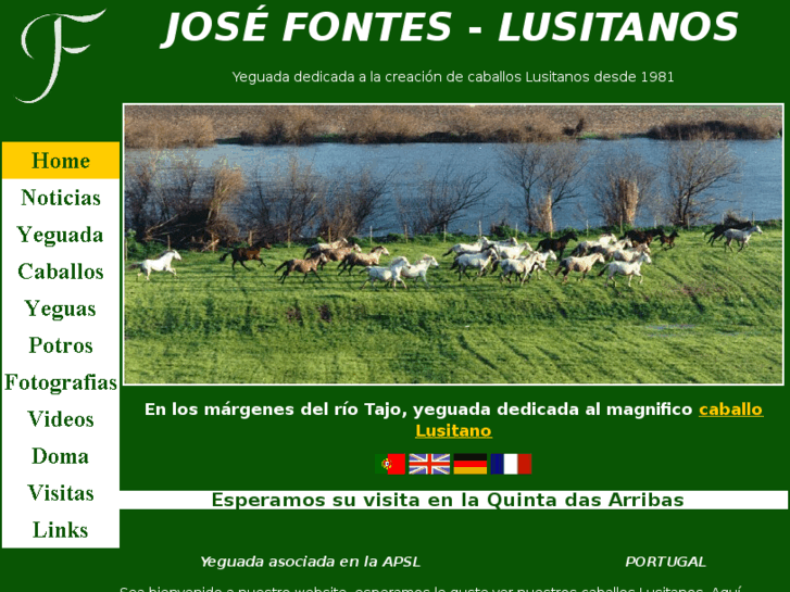 www.caballos-lusitanos.com