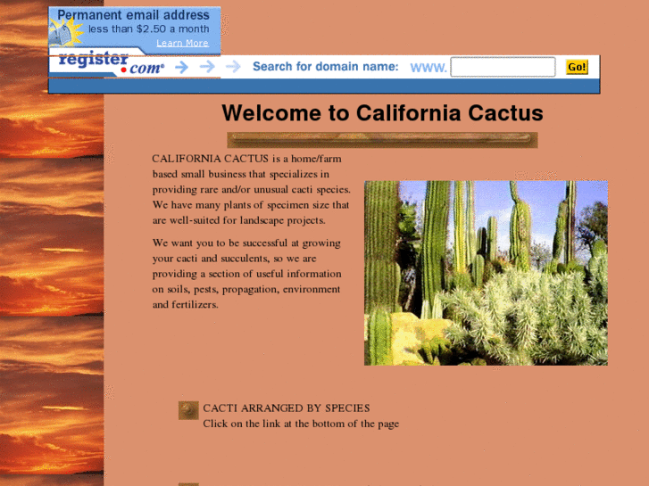 www.californiacactus.com