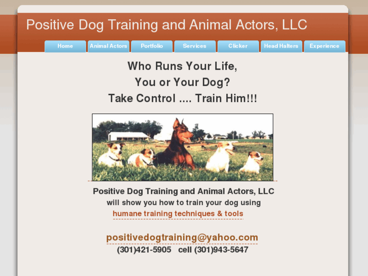 www.carolspositivedogtraining.com