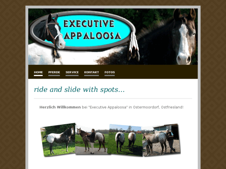 www.executive-appaloosa.com