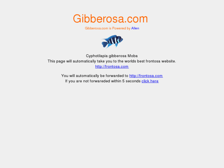 www.gibberosa.com