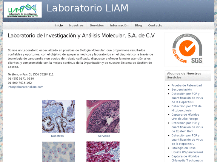 www.laboratorioliam.com