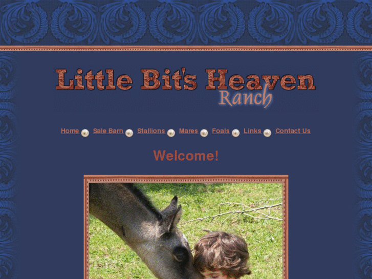 www.littlebitsheaven.com