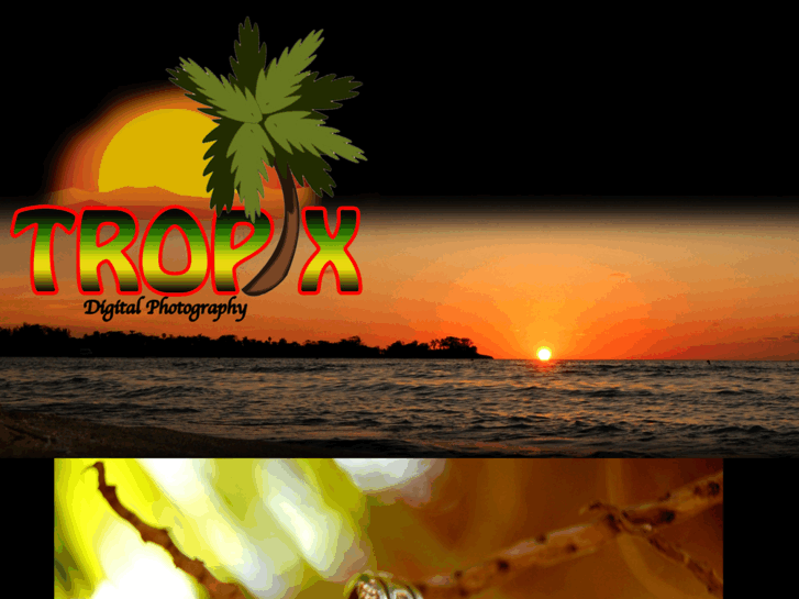 www.tropixphotography.com