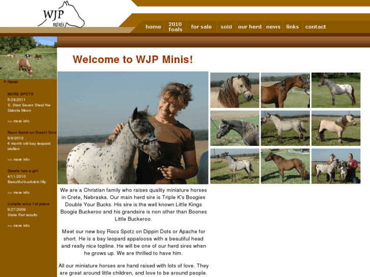 www.wjpminis.com