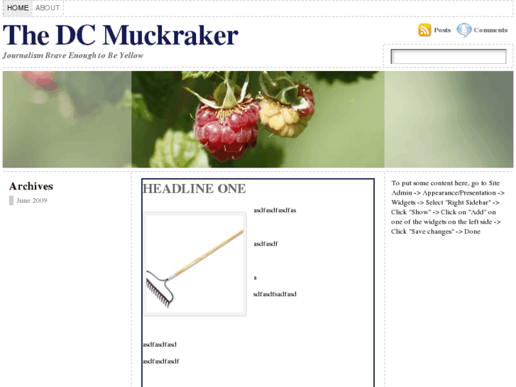 www.dcmuckraker.com