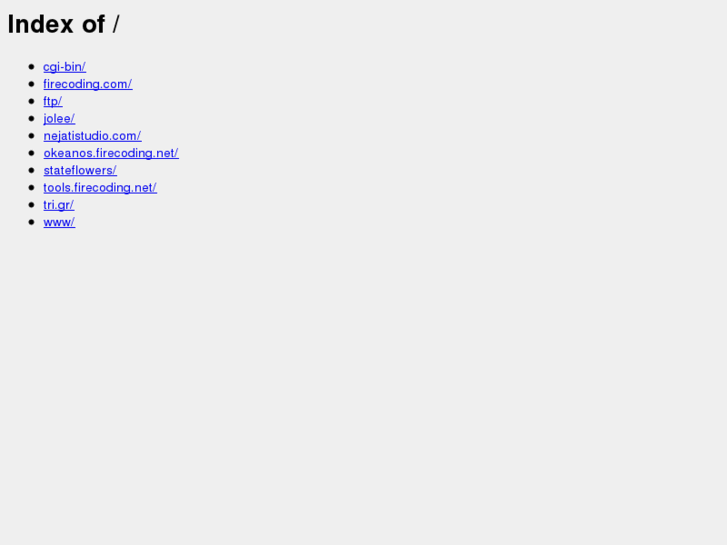 www.firecoding.net