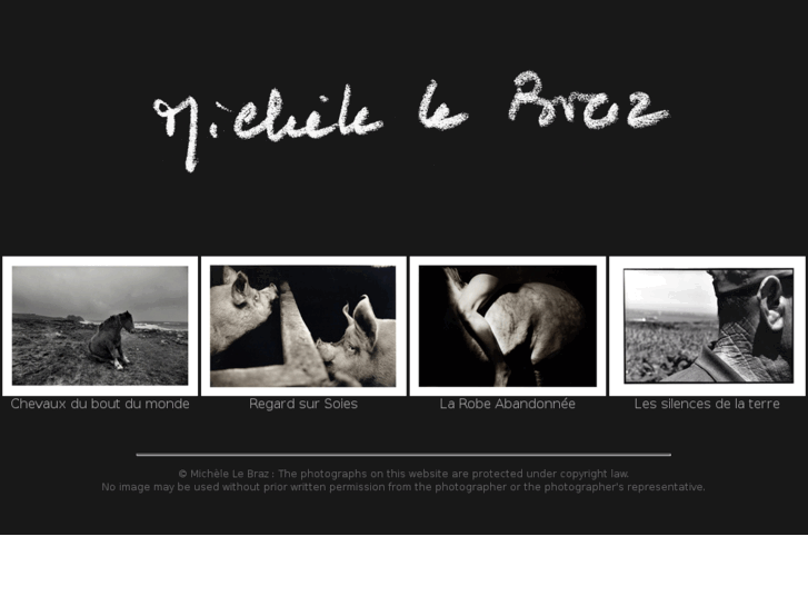 www.michele-lebraz.com