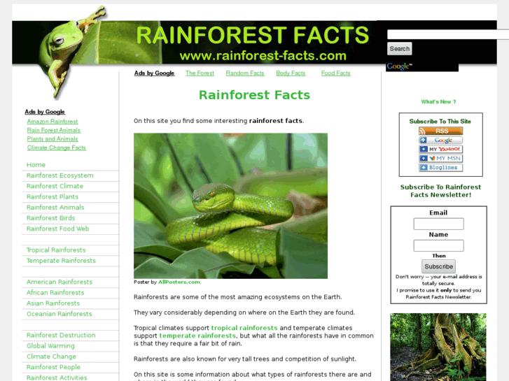www.rainforest-facts.com