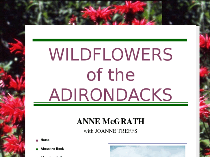 www.wildflowersoftheadirondacks.com