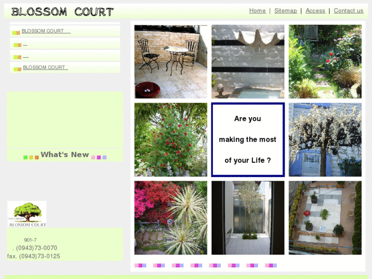 www.blossom-court.com