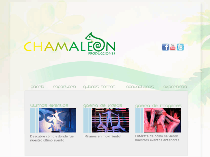 www.chamaleondavid.com