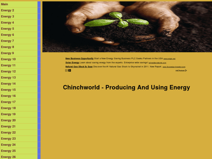 www.chinchworld.com