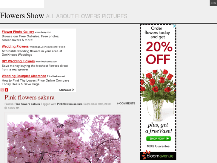 www.flowers-show.com