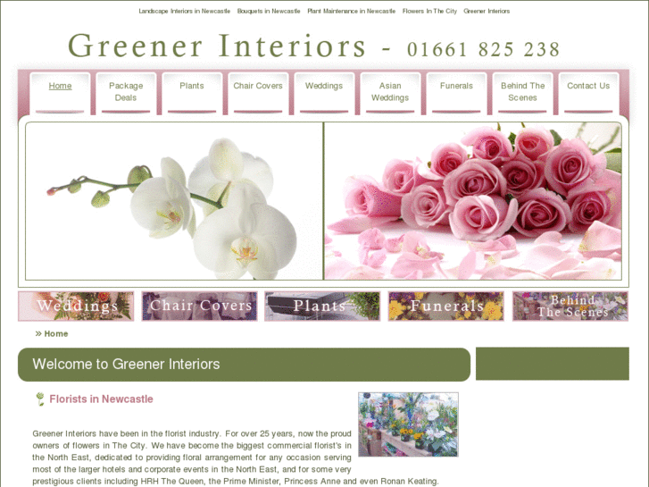 www.interiorlandscapersnewcastle.com