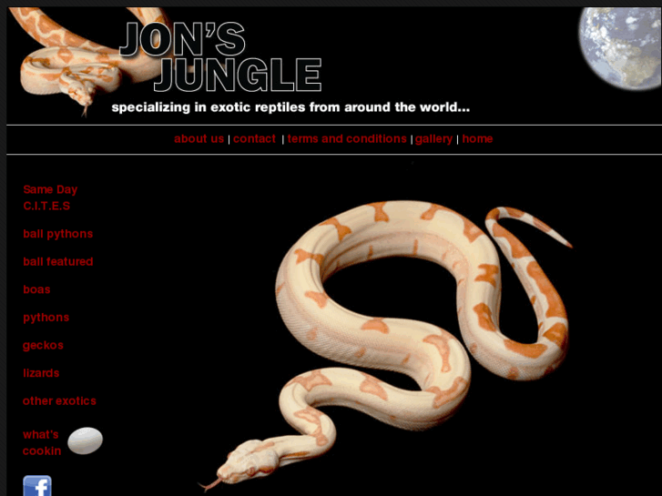 www.jonsjungle.com