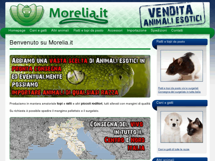 www.morelia.it