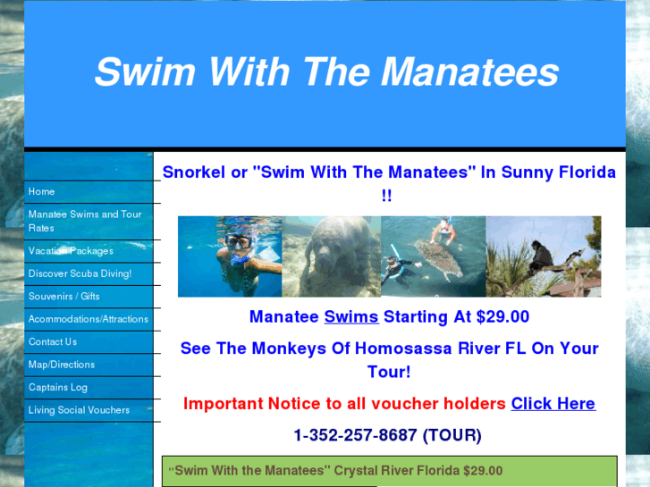 www.snorkelwithmanatees.com