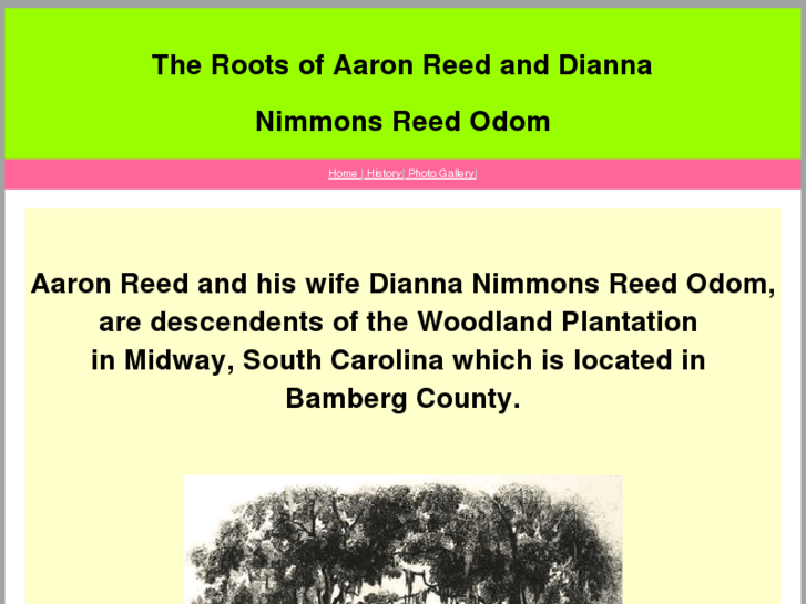 www.ancestorsofaaronreedanddiannanimmonsreedodom.com