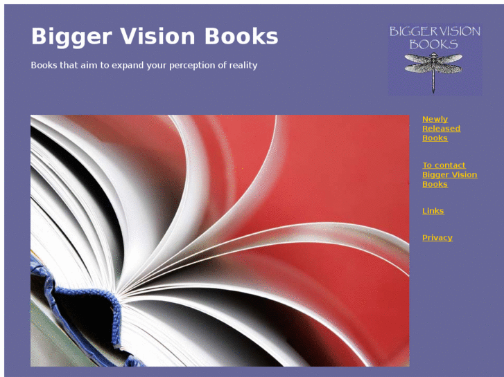 www.biggervisionbooks.com