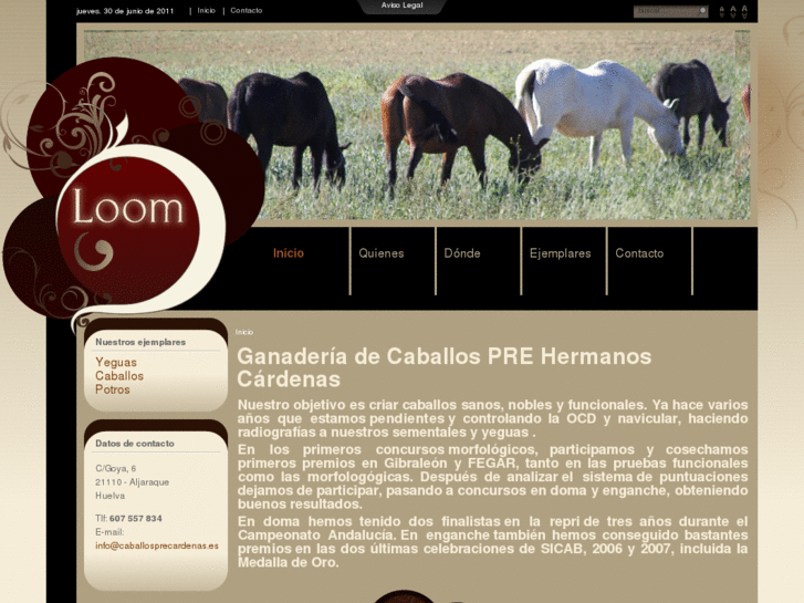 www.caballosprecardenas.es