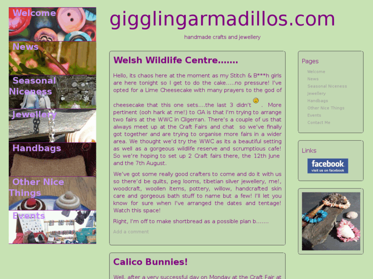 www.gigglingarmadillos.com