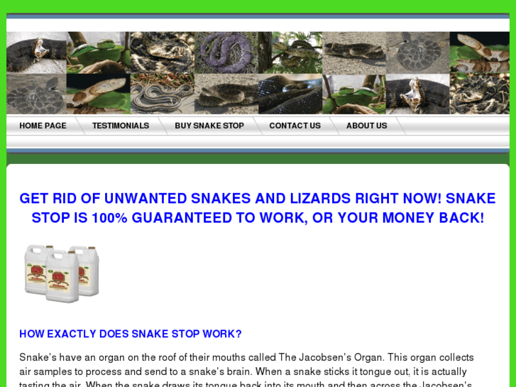 www.snakestop.com