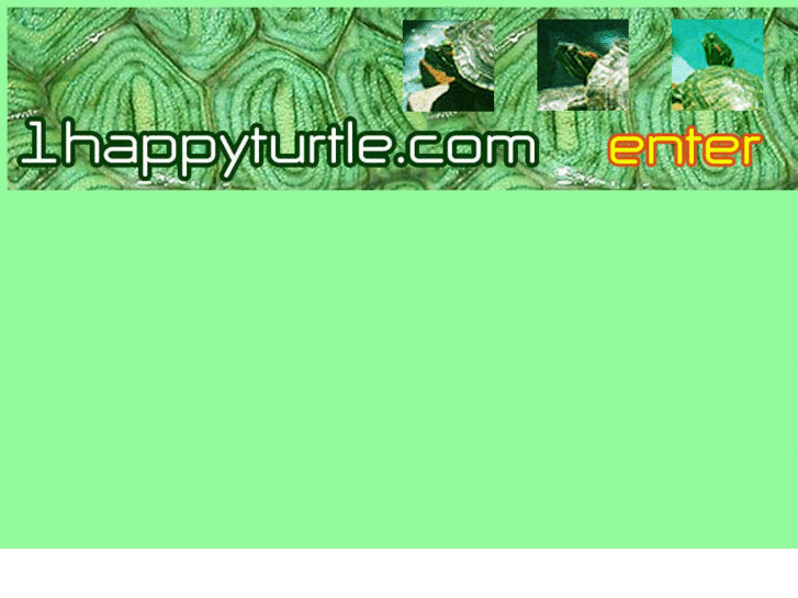 www.1happyturtle.com