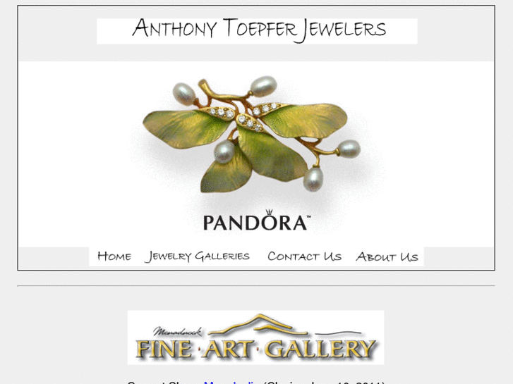 www.anthonytoepfer.com