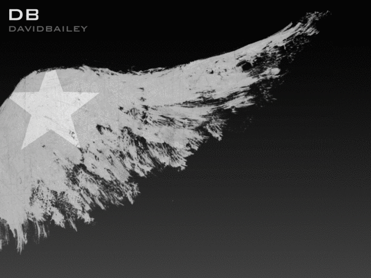 www.davidbailey.net