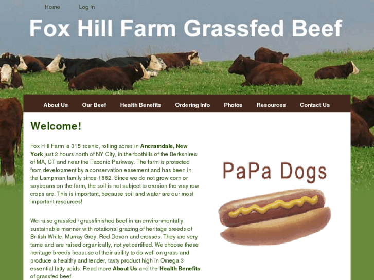 www.foxhillfarmbeef.com