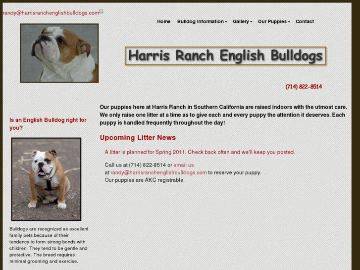 www.harrisranchenglishbulldogs.com