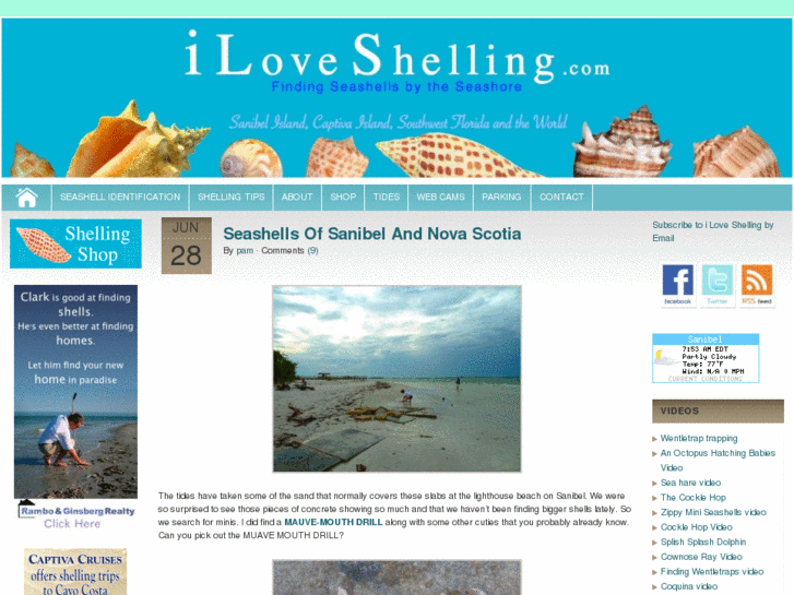 www.iloveshelling.com