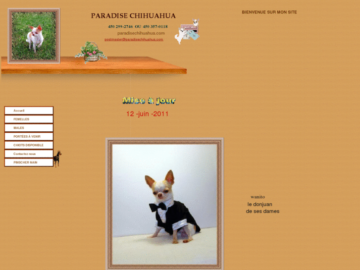 www.paradisechihuahua.com